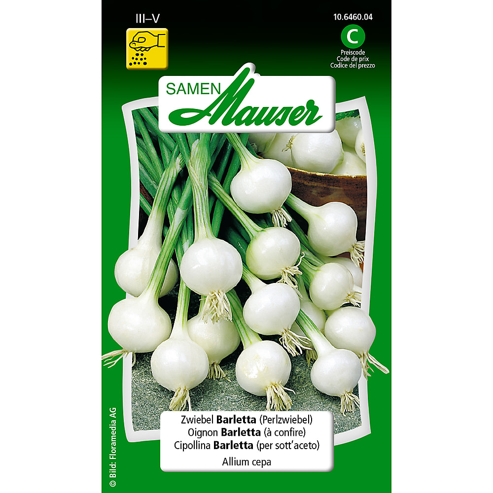 Buy Samen Mauser · Onion Barletta (pearl onion) • Migros