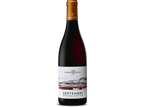 E. Delaunay Septembre Pinot Noir Bourgogne AOC - 2022 · Red wine