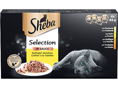 Sheba Gut Für Katzen