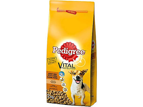 Pedigree mini adult sales
