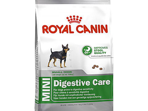 Royal Canin Croquettes pour chien adultes Mini Digestive Care Migros Online