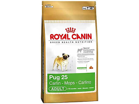 Mops royal canin outlet