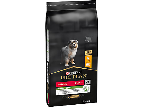 Pro plan cheap medium